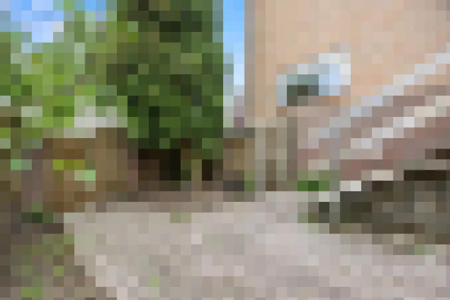 van Ruysdaelweg 55 Groesbeek thumbnail 42
