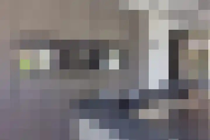 Van Ruyvenlaan 2 Poeldijk thumbnail 13