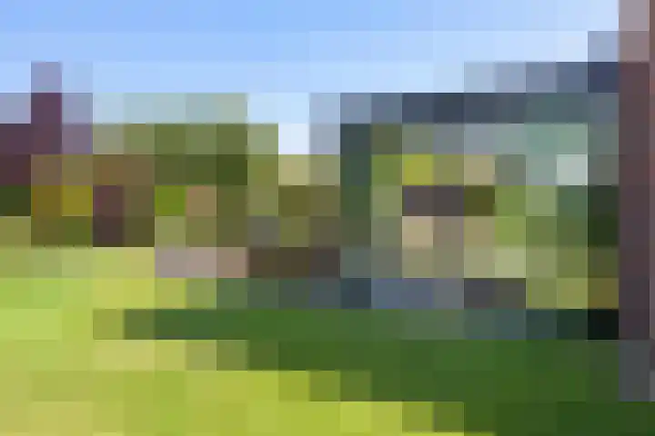 Van Ruyvenlaan 2 Poeldijk thumbnail 20