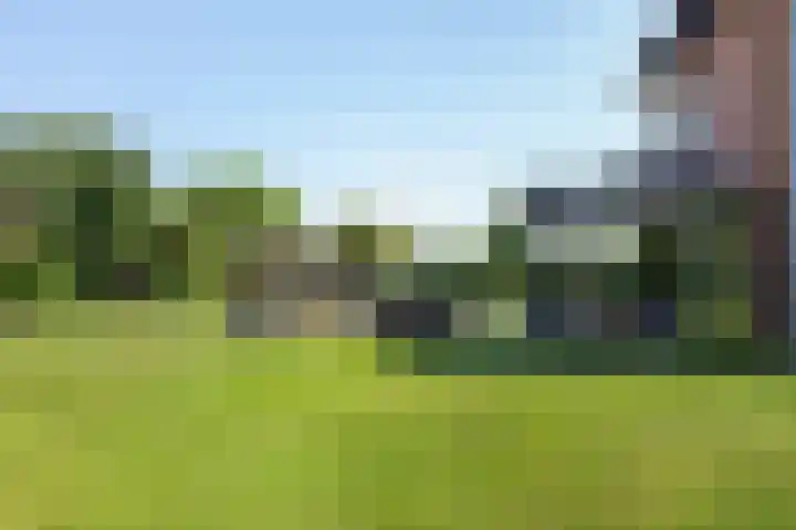 Van Ruyvenlaan 2 Poeldijk thumbnail 22