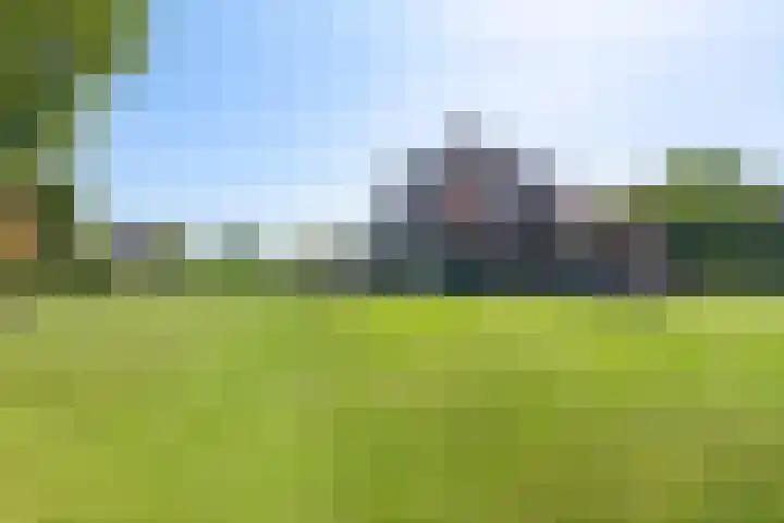 Van Ruyvenlaan 2 Poeldijk thumbnail 23
