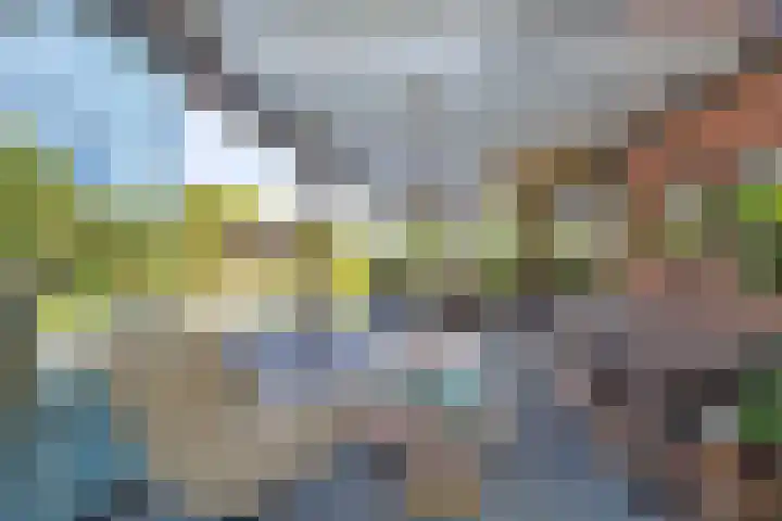 Van Ruyvenlaan 2 Poeldijk thumbnail 24