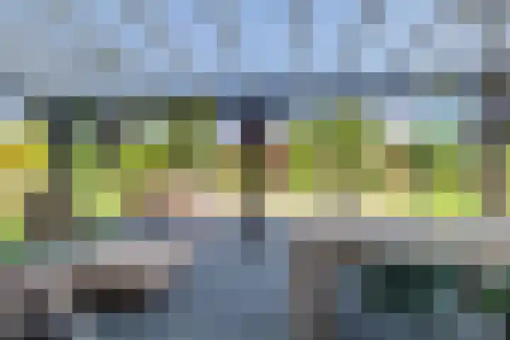 Van Ruyvenlaan 2 Poeldijk thumbnail 25