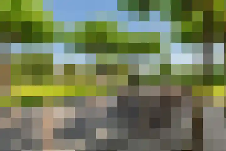 Van Ruyvenlaan 2 Poeldijk thumbnail 26