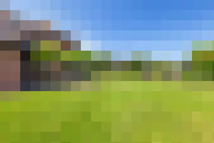 Van Ruyvenlaan 2 Poeldijk thumbnail 27