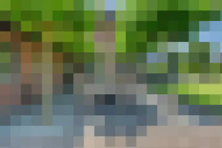 Van Ruyvenlaan 2 Poeldijk thumbnail 28