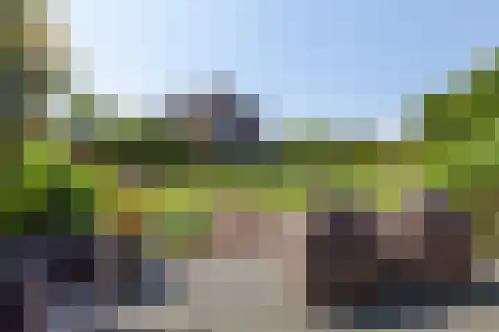 Van Ruyvenlaan 2 Poeldijk thumbnail 29