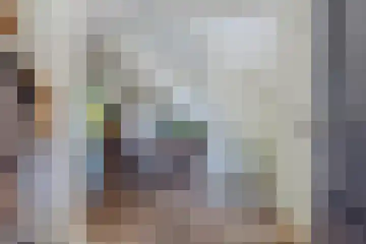 Van Ruyvenlaan 2 Poeldijk thumbnail 31