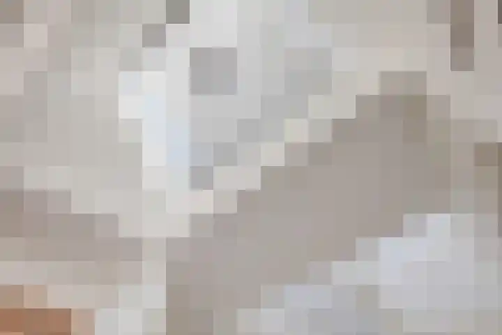 Van Ruyvenlaan 2 Poeldijk thumbnail 32