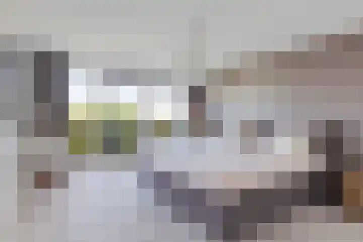 Van Ruyvenlaan 2 Poeldijk thumbnail 33