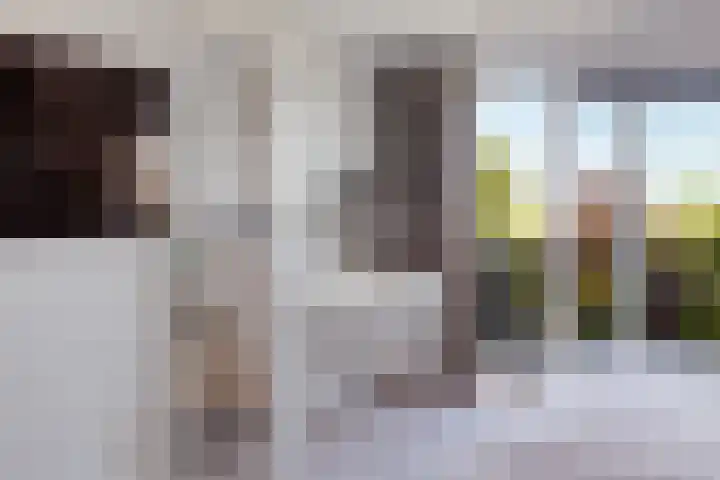 Van Ruyvenlaan 2 Poeldijk thumbnail 35