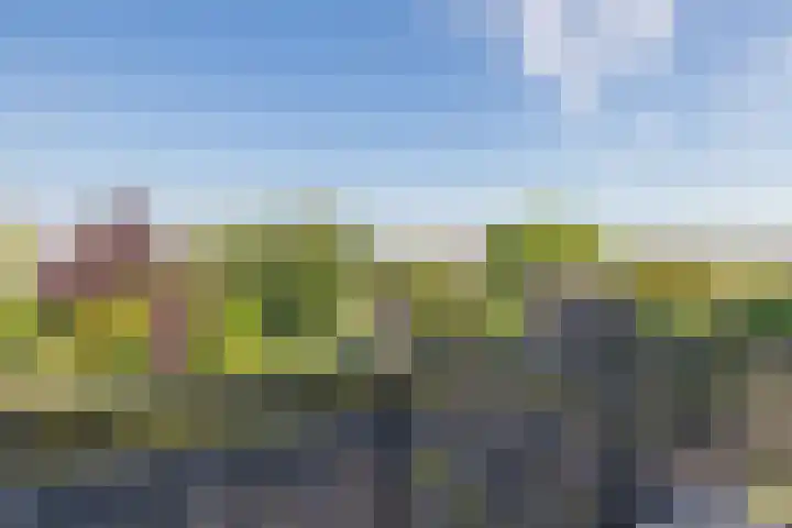 Van Ruyvenlaan 2 Poeldijk thumbnail 36