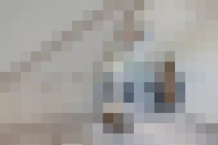 Van Ruyvenlaan 2 Poeldijk thumbnail 41