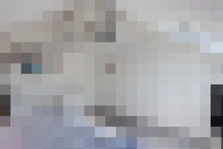 Van Ruyvenlaan 2 Poeldijk thumbnail 47