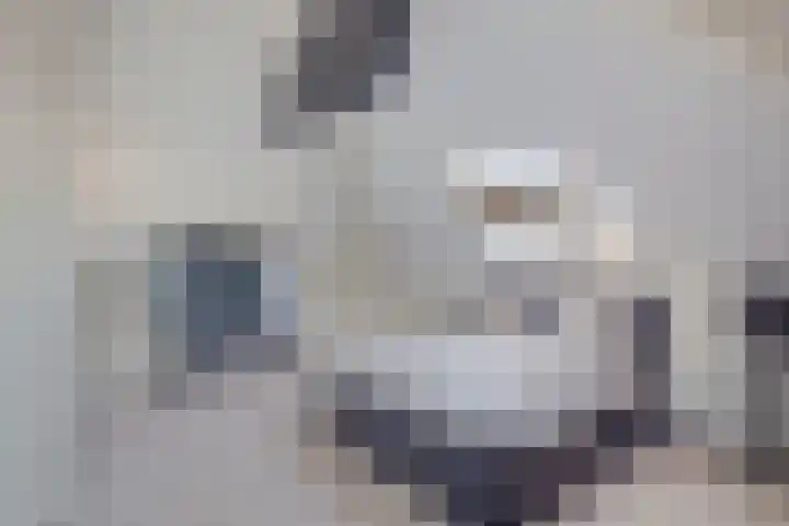 Van Ruyvenlaan 2 Poeldijk thumbnail 49