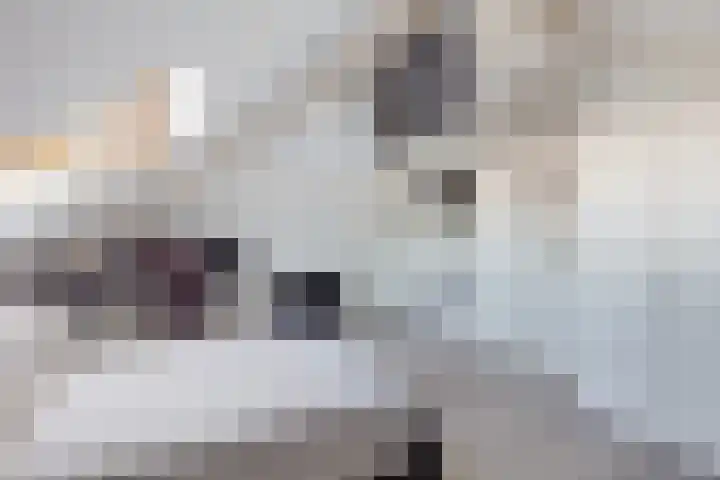 Van Ruyvenlaan 2 Poeldijk thumbnail 50