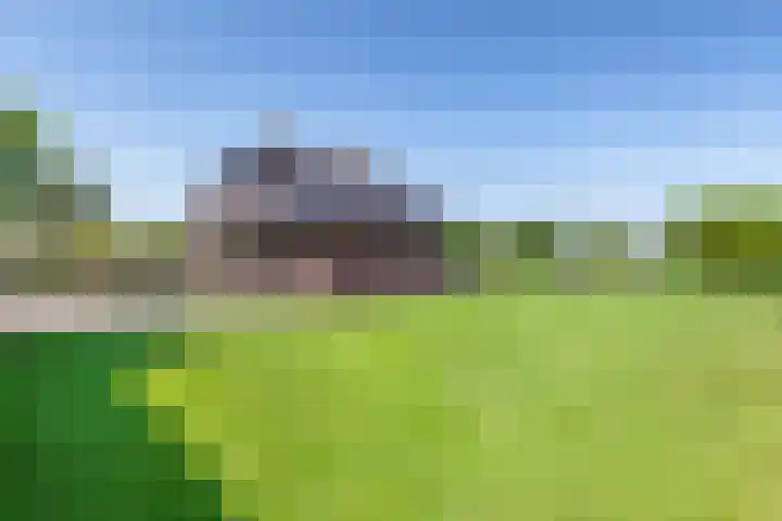 Van Ruyvenlaan 2 Poeldijk thumbnail 53