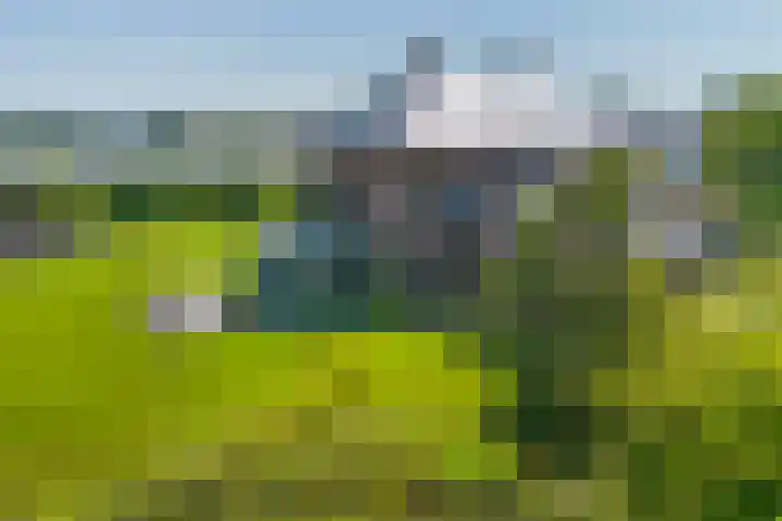 Van Ruyvenlaan 2 Poeldijk thumbnail 56