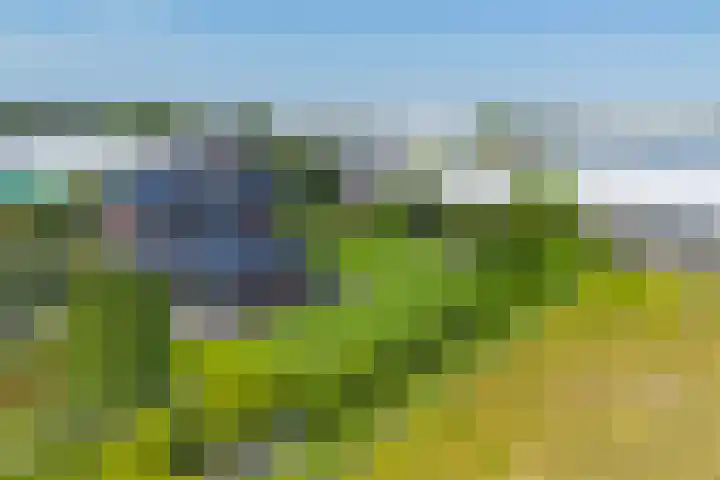Van Ruyvenlaan 2 Poeldijk thumbnail 57