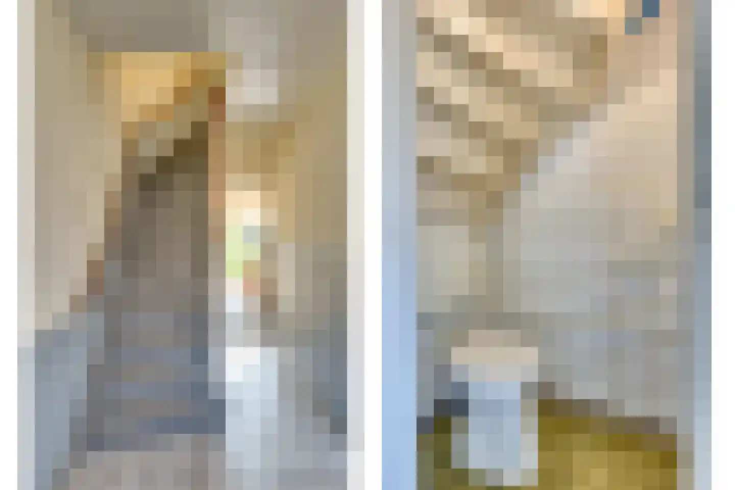 Van Ryckelstraat 3 Hilvarenbeek thumbnail 12