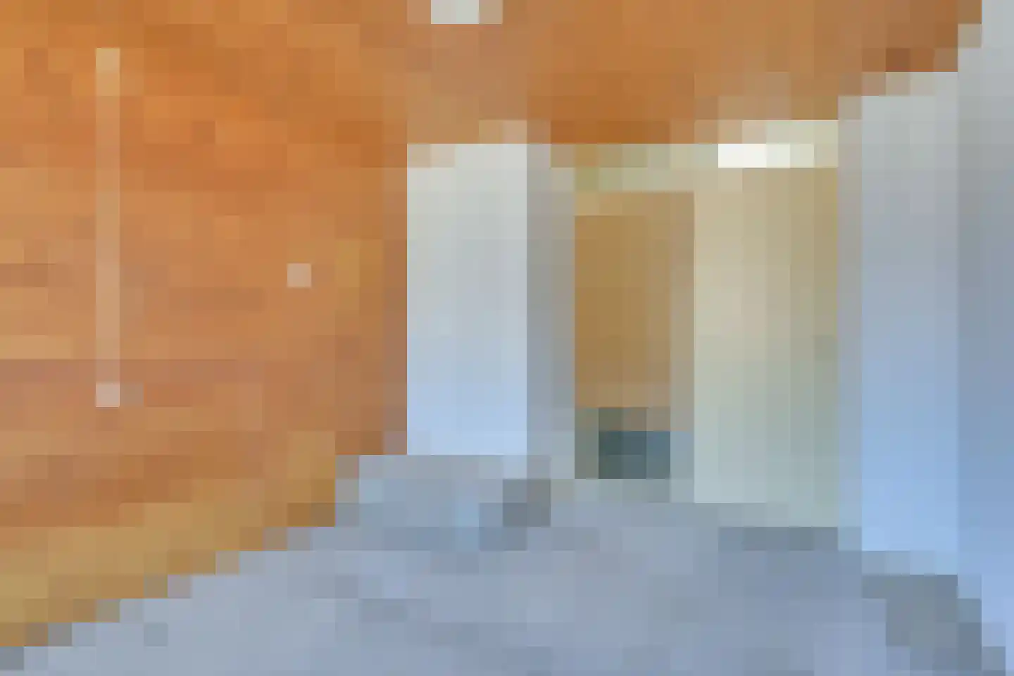 Van Ryckelstraat 3 Hilvarenbeek thumbnail 16
