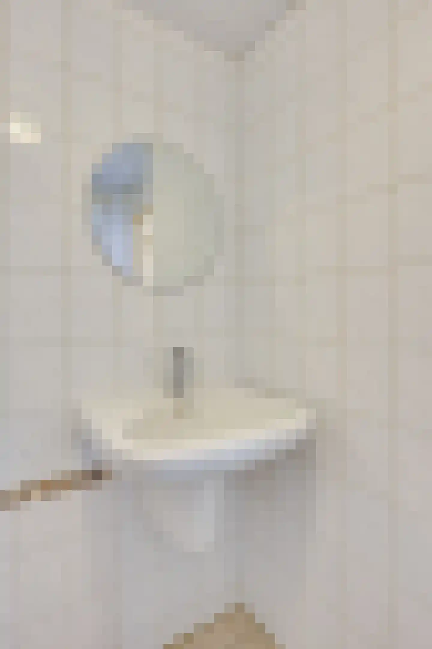 Van Ryckelstraat 3 Hilvarenbeek thumbnail 20