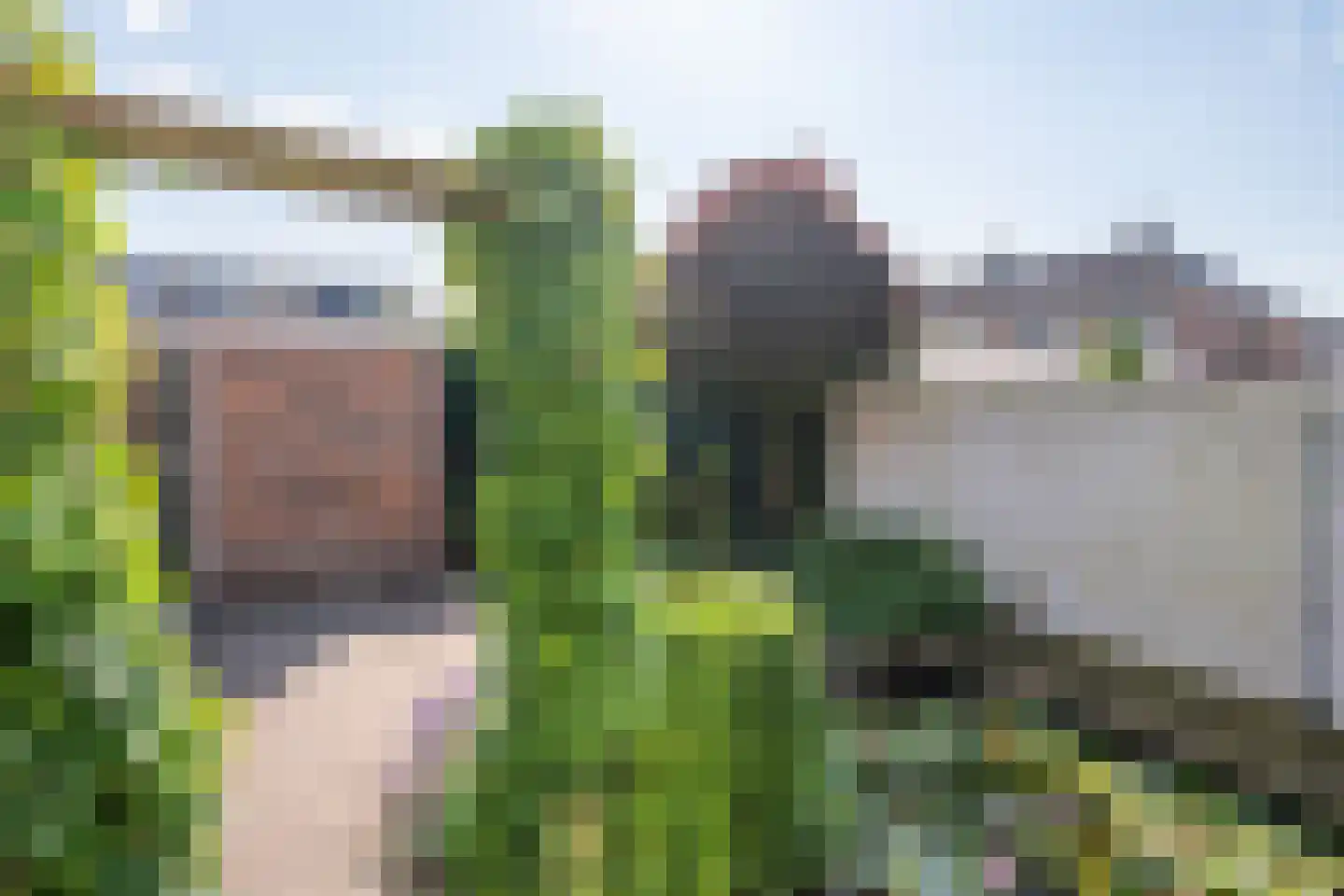 Van Ryckelstraat 3 Hilvarenbeek thumbnail 26
