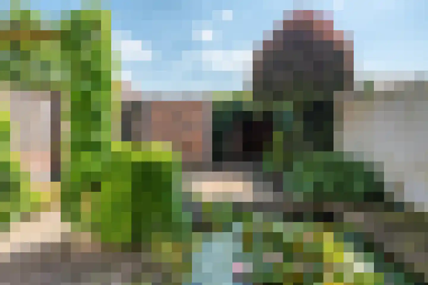 Van Ryckelstraat 3 Hilvarenbeek thumbnail 27