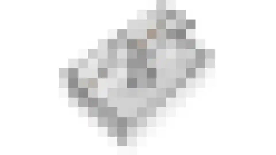 Van Ryckelstraat 3 Hilvarenbeek thumbnail 33