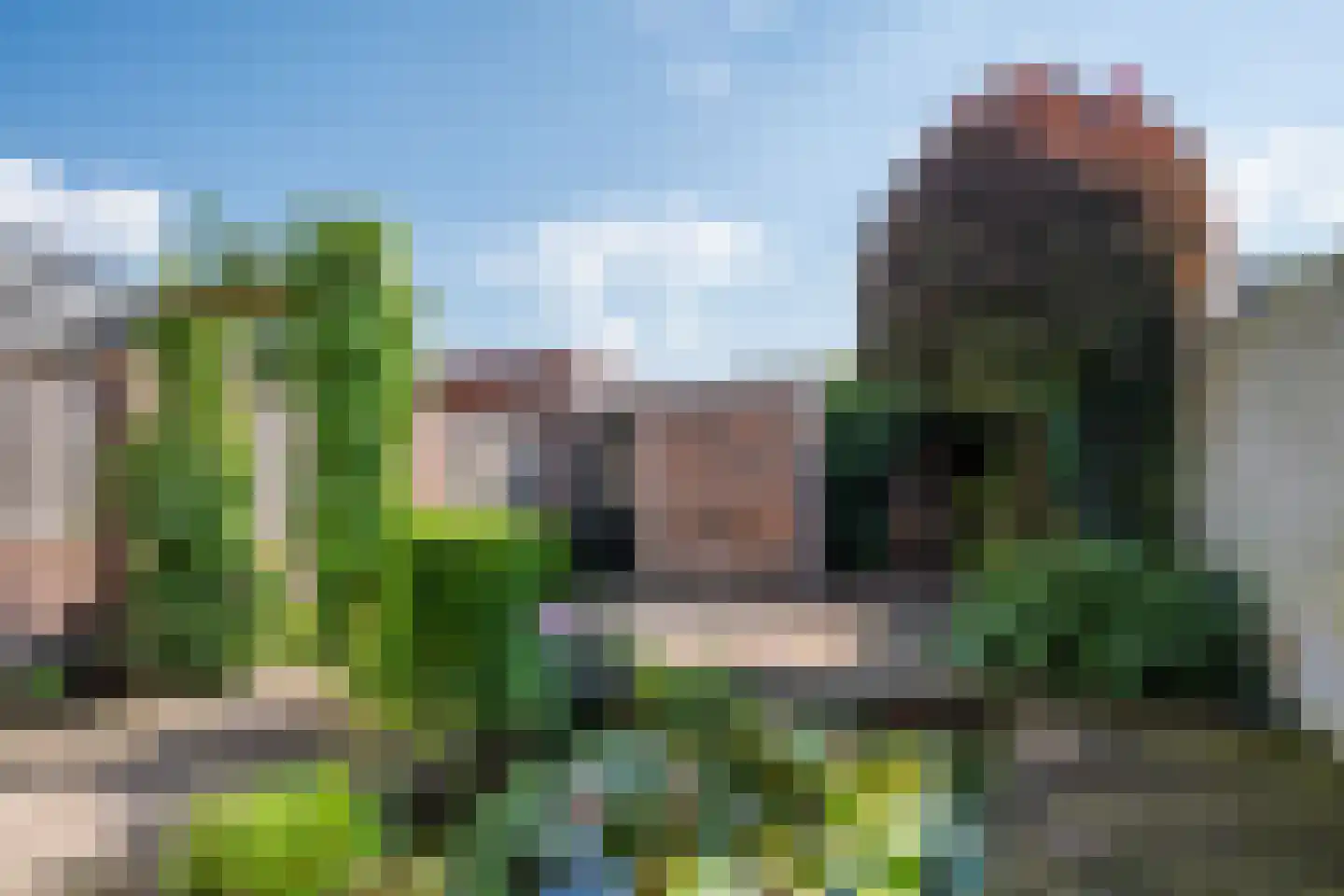 Van Ryckelstraat 3 Hilvarenbeek thumbnail 4
