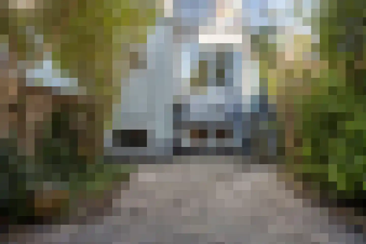 Van 's-Gravesandestraat 15 A Schiedam thumbnail 30
