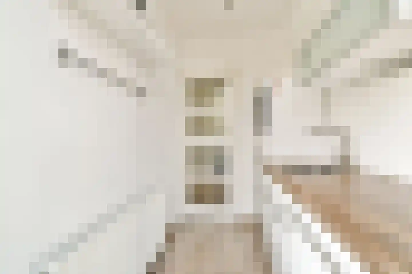 Van 's-Gravesandestraat 26 B Schiedam thumbnail 14