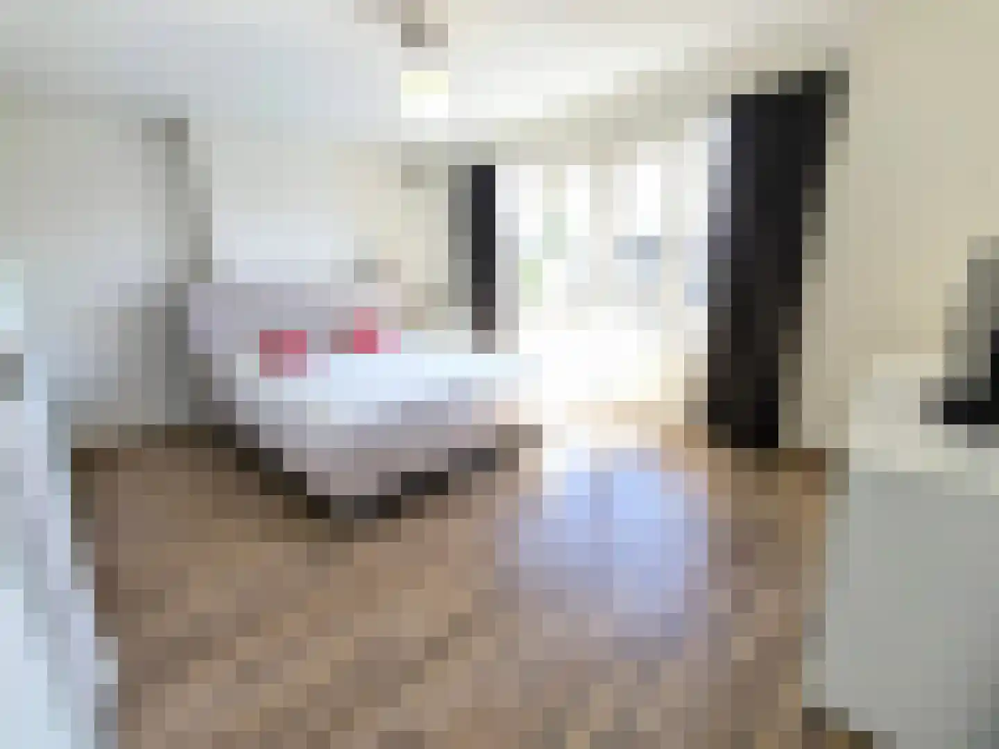 Van 's-Gravesandestraat 26 B Schiedam thumbnail 26