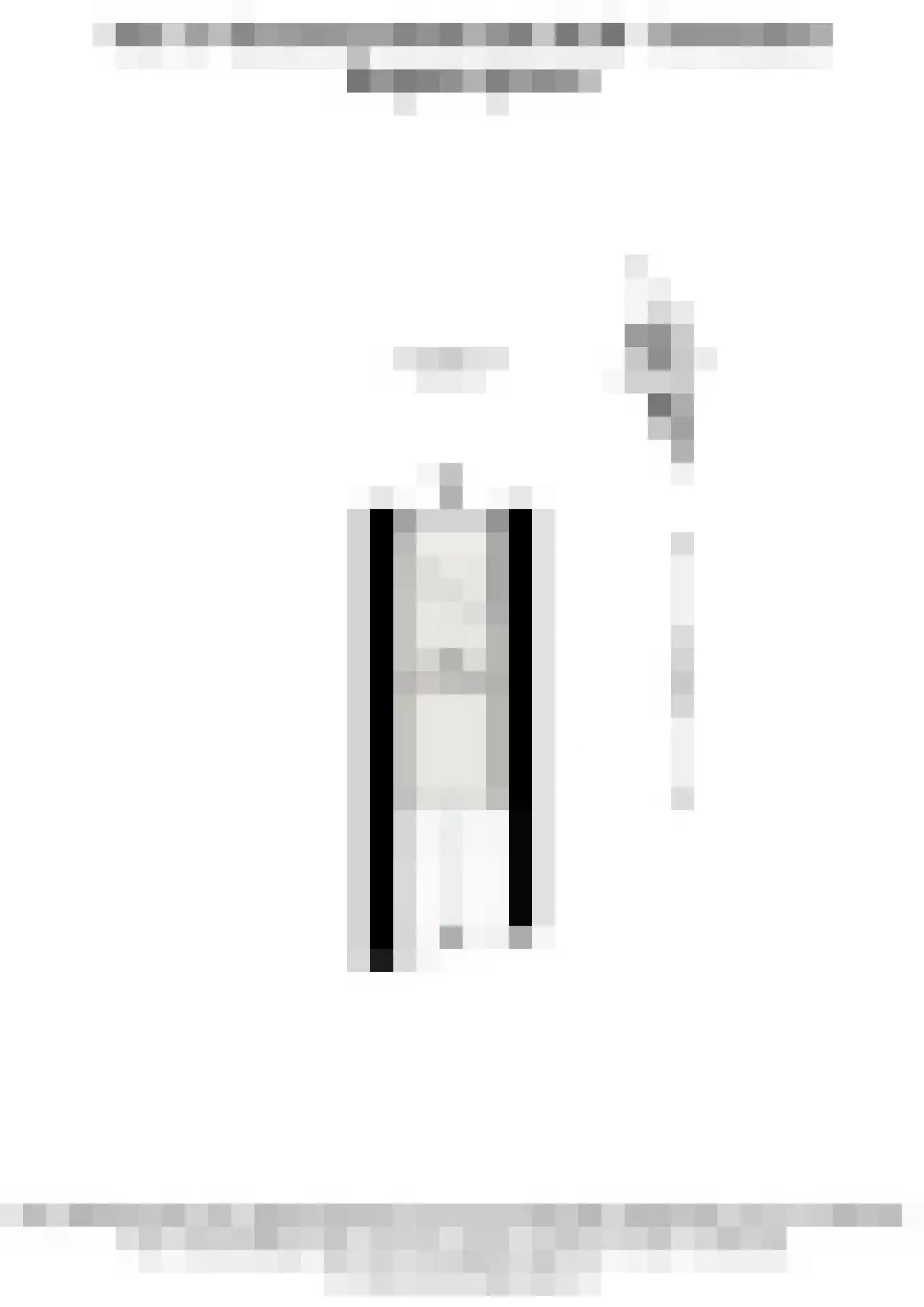 Van 's-Gravesandestraat 26 B Schiedam thumbnail 31