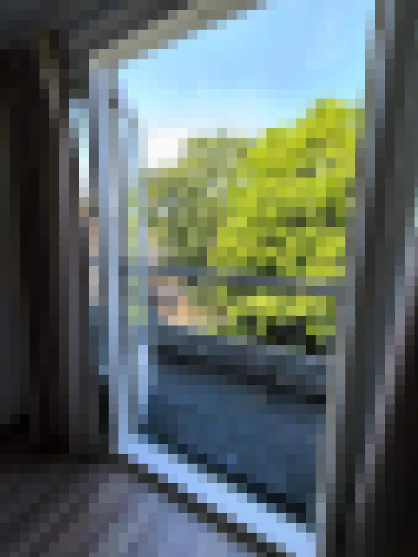 Van 's-Gravesandestraat 26 B Schiedam thumbnail 42