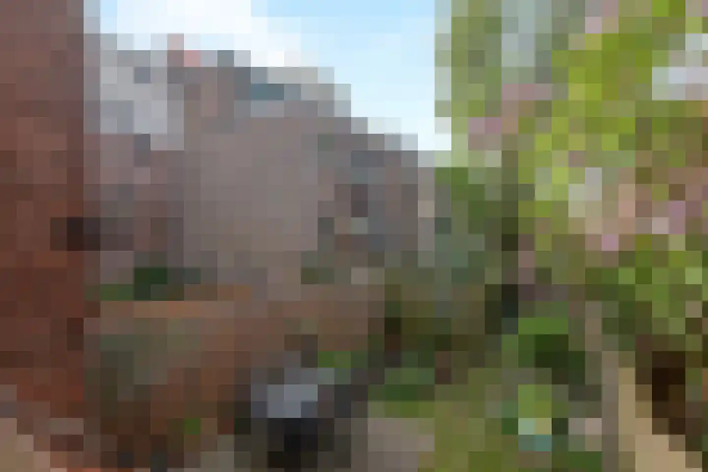 Van 's-Gravesandestraat 47 B Schiedam thumbnail 31