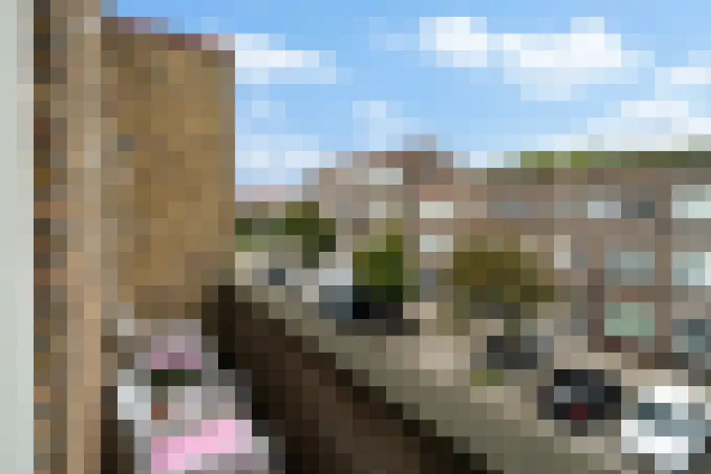 Van 's-Gravesandestraat 51 B Schiedam thumbnail 45
