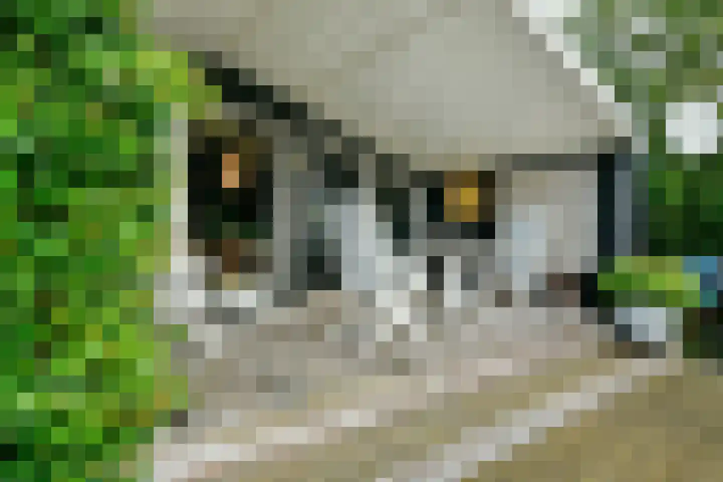 Van Saanelaan 10 Jisp thumbnail 17