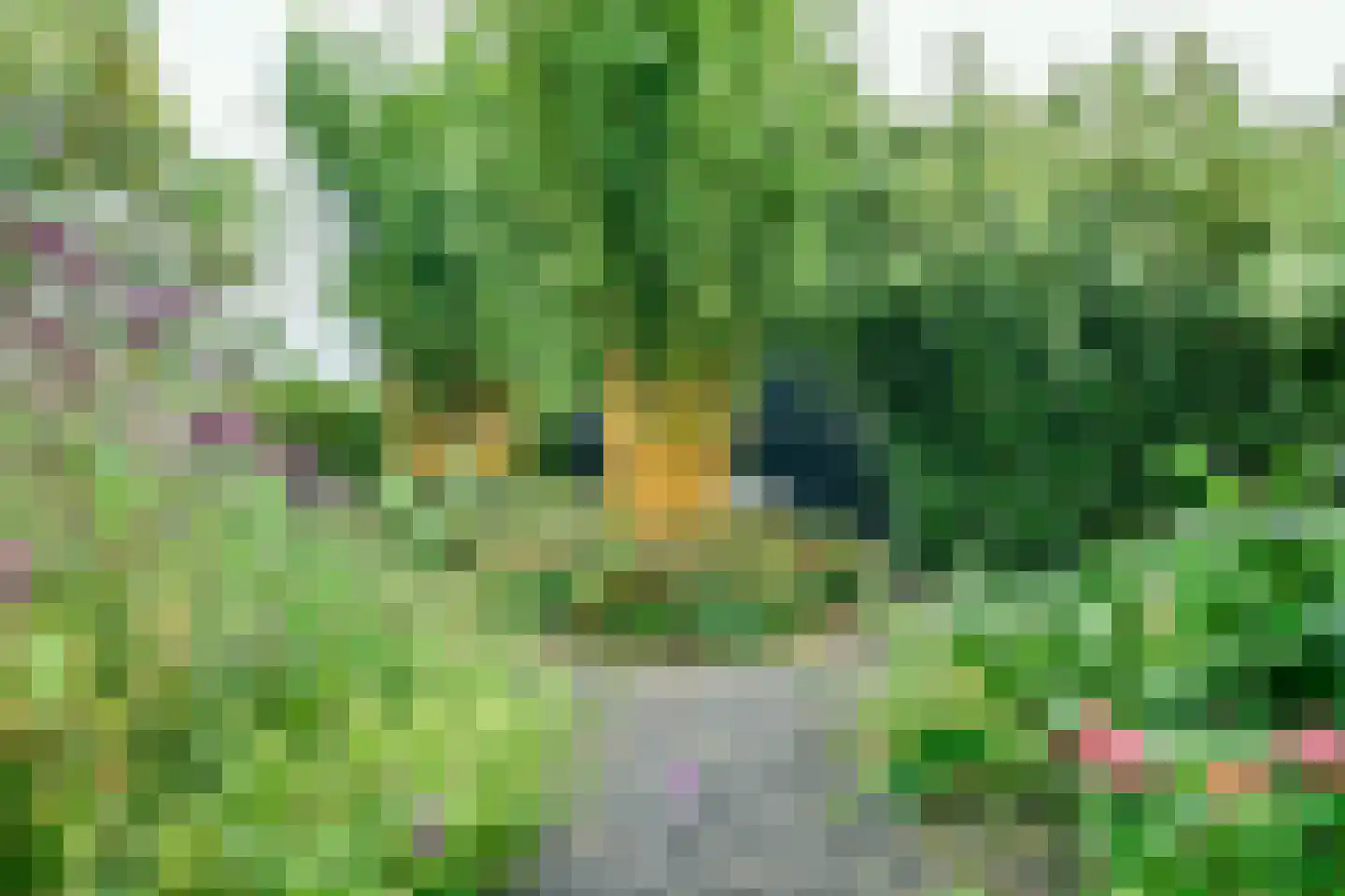 Van Saanelaan 10 Jisp thumbnail 26