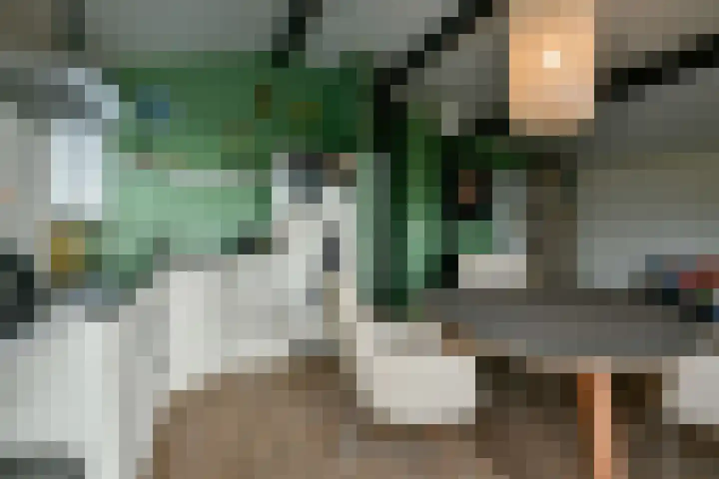 Van Saanelaan 10 Jisp thumbnail 4