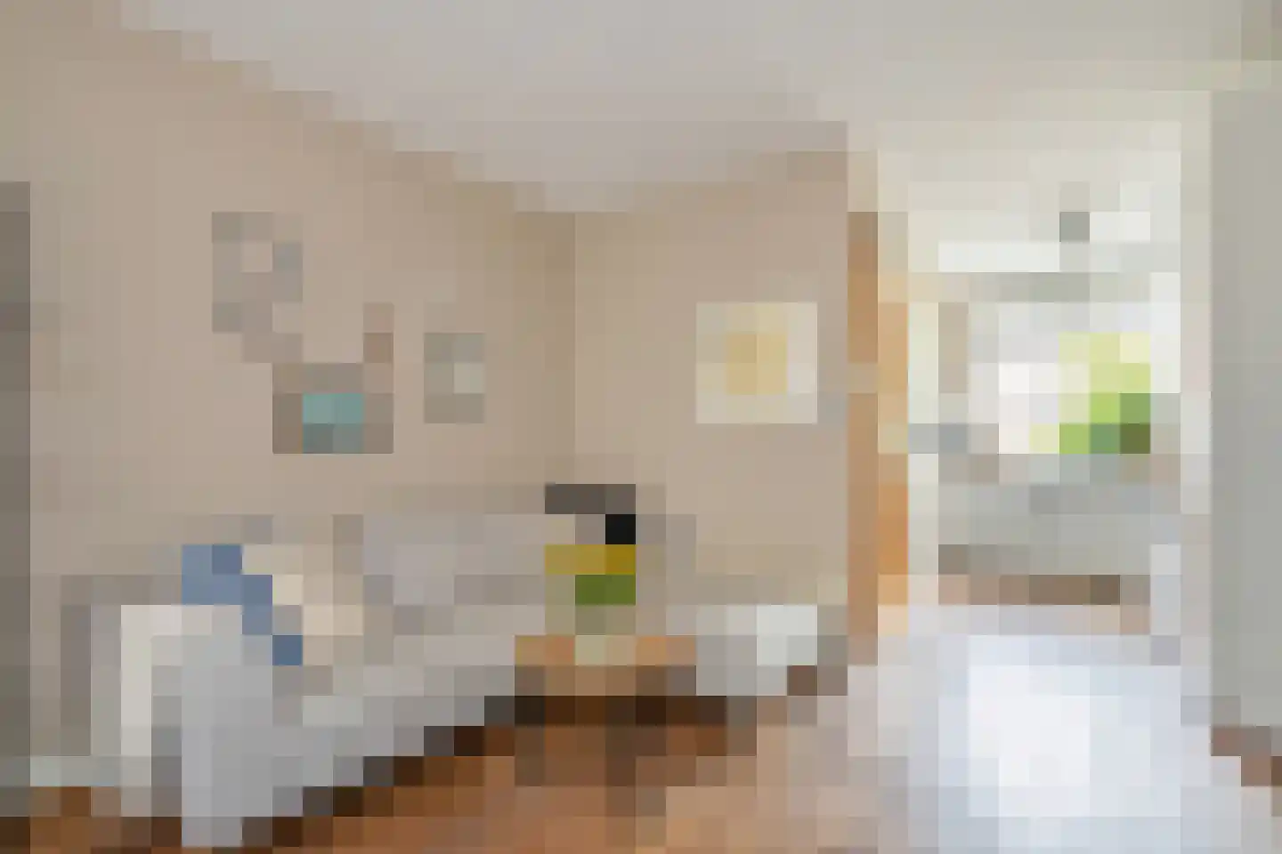 Van Saenredamstraat 31 Delft thumbnail 13