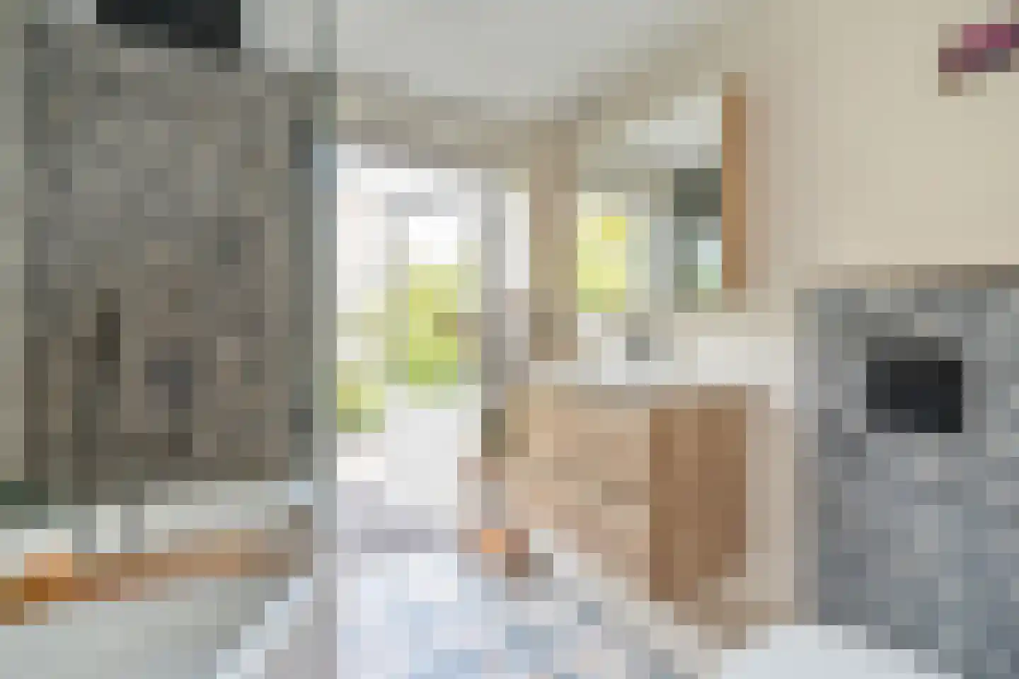 Van Saenredamstraat 31 Delft thumbnail 25