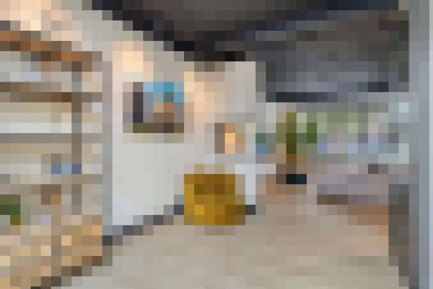 van Salm-Salmstraat 3 Loon op Zand thumbnail 15