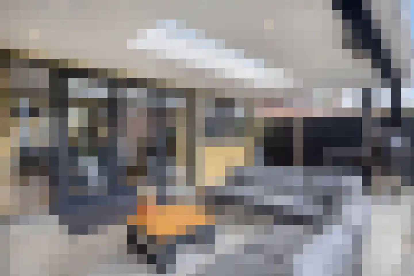 van Salm-Salmstraat 3 Loon op Zand thumbnail 6