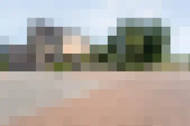 Van Sandickstraat 19 Dedemsvaart thumbnail 5