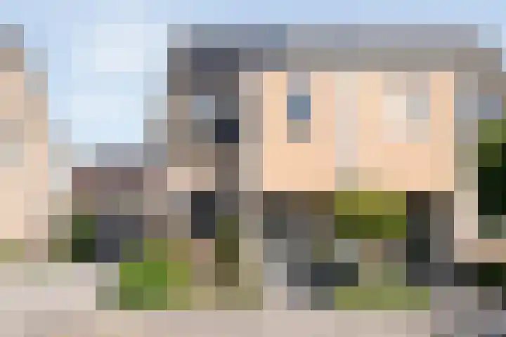 Van Sandickstraat 19 Dedemsvaart thumbnail 6