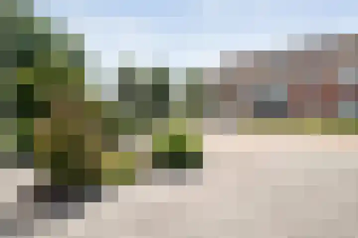 Van Sandickstraat 19 Dedemsvaart thumbnail 8