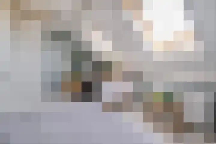 Van Sandickstraat 27 Dedemsvaart thumbnail 17