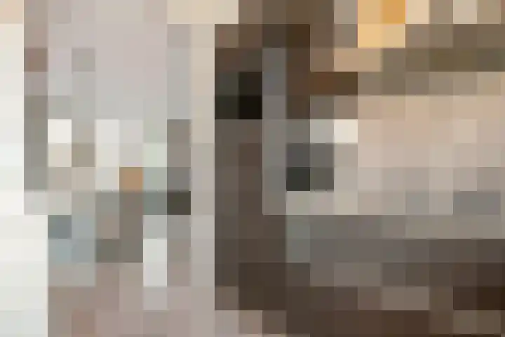 Van Sandickstraat 35 Dedemsvaart thumbnail 15