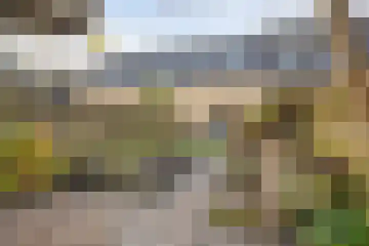 Van Sandickstraat 35 Dedemsvaart thumbnail 32